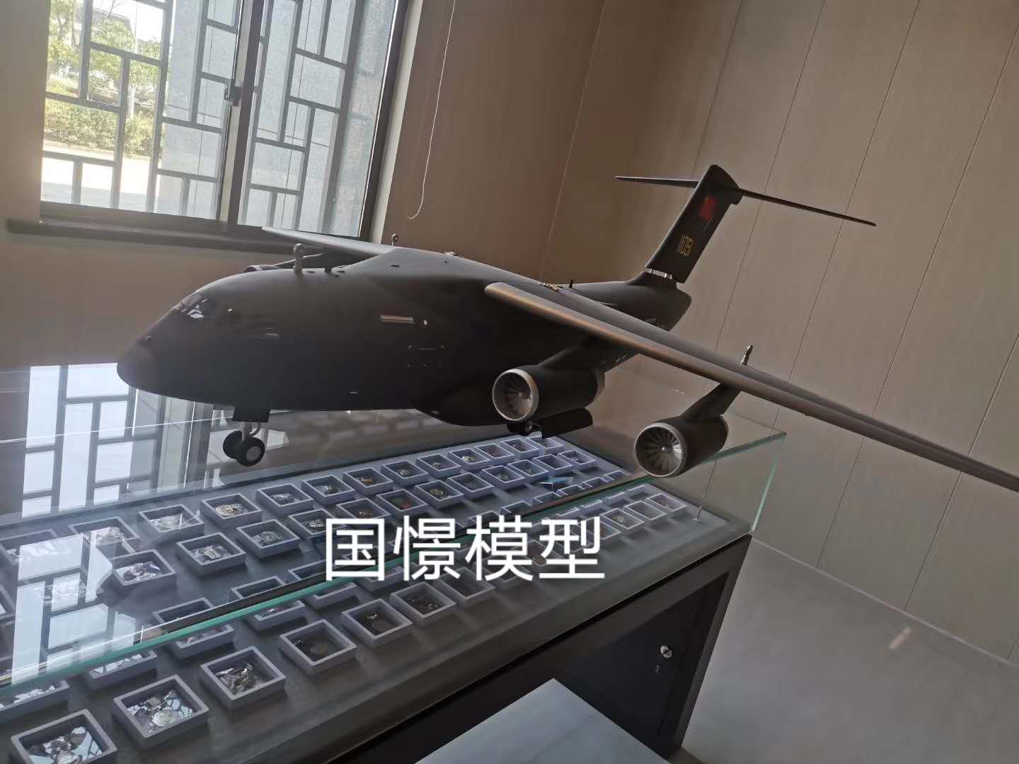 闵行区飞机模型