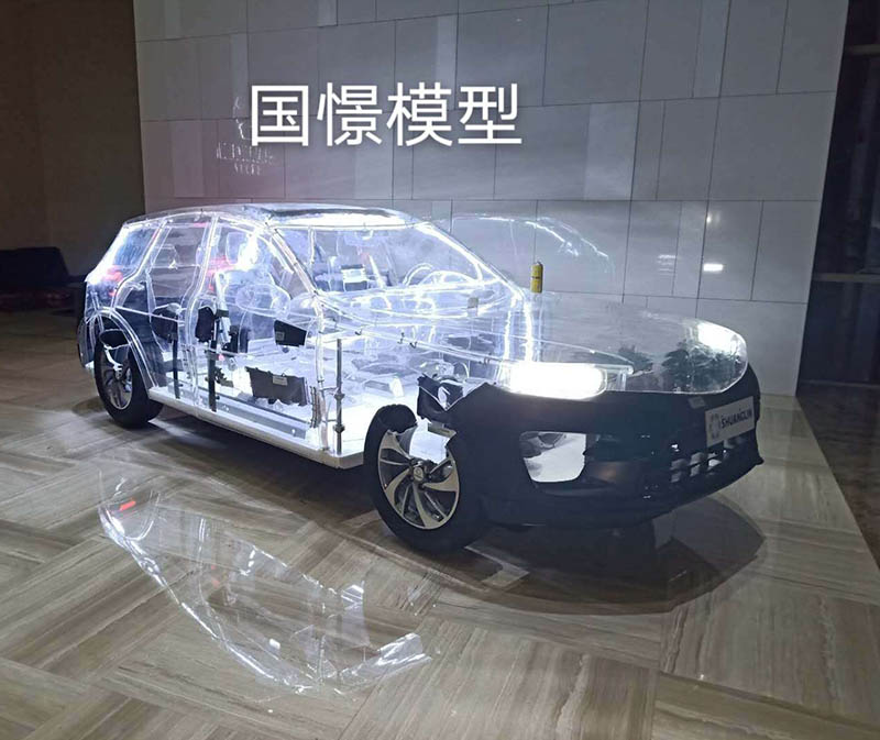 闵行区透明车模型